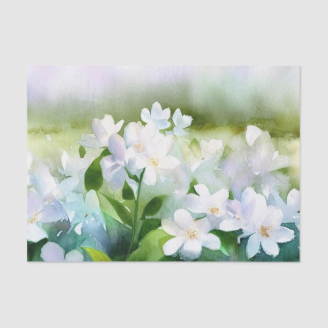 Papel De Seda Campo de flores-acuarela jazmín (D) (Anverso)