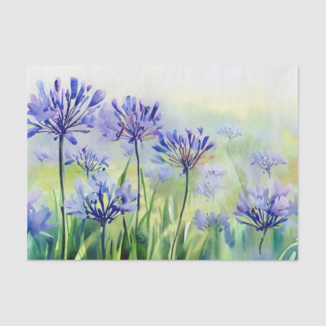 Papel De Seda Campo de flores-Agapanthus, (D) Acuarela (Anverso)