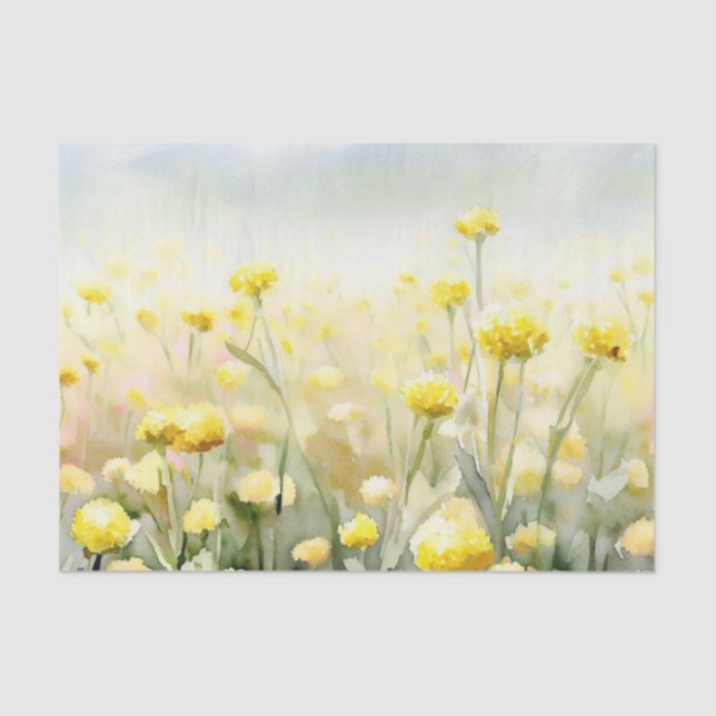 Papel De Seda Campo de Flores-Craspedia (C) (Anverso)