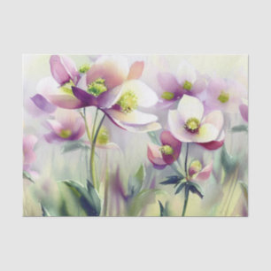 Papel De Seda Campo de flores-Hellebore (B) Acuarela