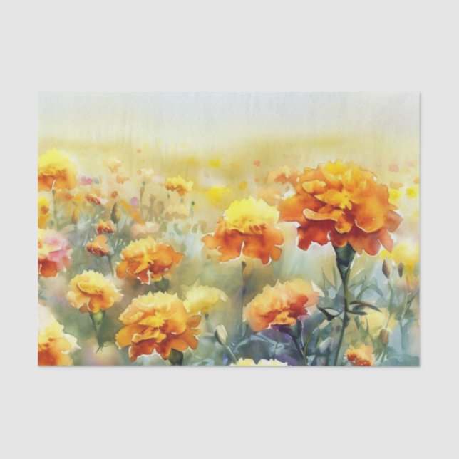 Papel De Seda Campo de flores-Marigold (B) Acuarela (Anverso)