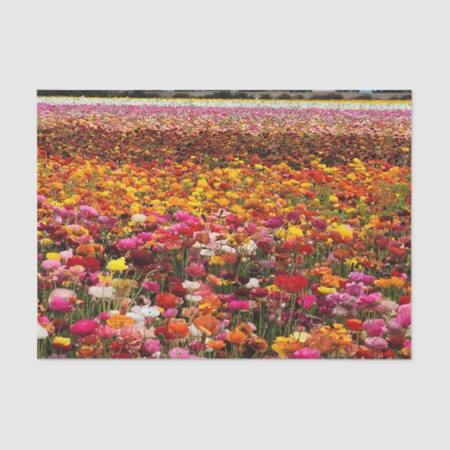 Papel De Seda Campo de flores vibrantes Fotografía de flores (Anverso)