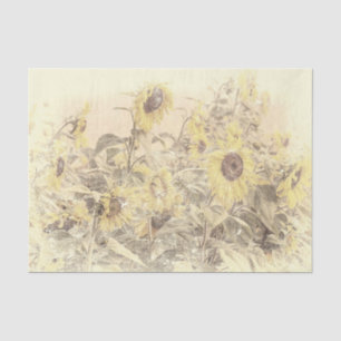 Papel De Seda Campo de girasoles amarillos con textura desgastad