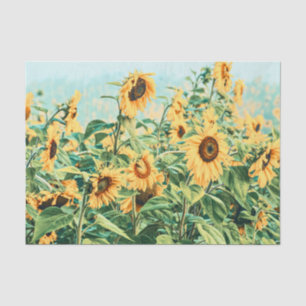 Papel De Seda Campo de girasoles Arte de decoupage floral amaril