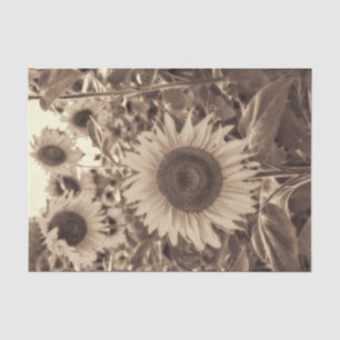 Papel De Seda Campo de Girasoles Gigantes Decoupage Sepia Antigu
