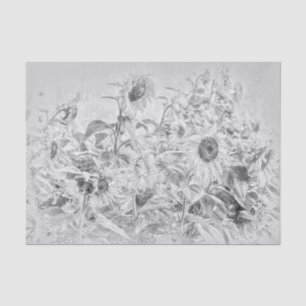 Papel De Seda Campo de girasoles vintage en blanco y negro desga