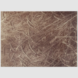 Papel De Seda Campo de trigo (por Eugène Atget)