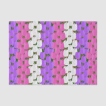 Campo Tulip de primavera