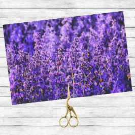 Papel De Seda Campos de Lavanda Artsy muy Púrpura