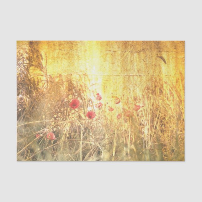 Papel De Seda Campos radiantes de grano con cachorros rojos (Anverso)