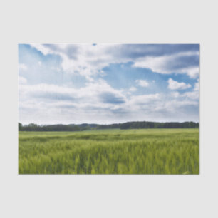 Papel De Seda Campos verdes y cielo azul