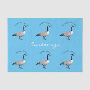 Papel De Seda Canadá Goose Gander Thunder_Cove