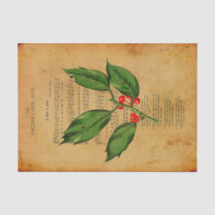 Papel De Seda Canción cristiana de Ephemera: Nace la decepción