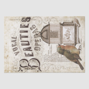 Papel De Seda Canción de ópera Música Robin Bird Birdcage Decoup