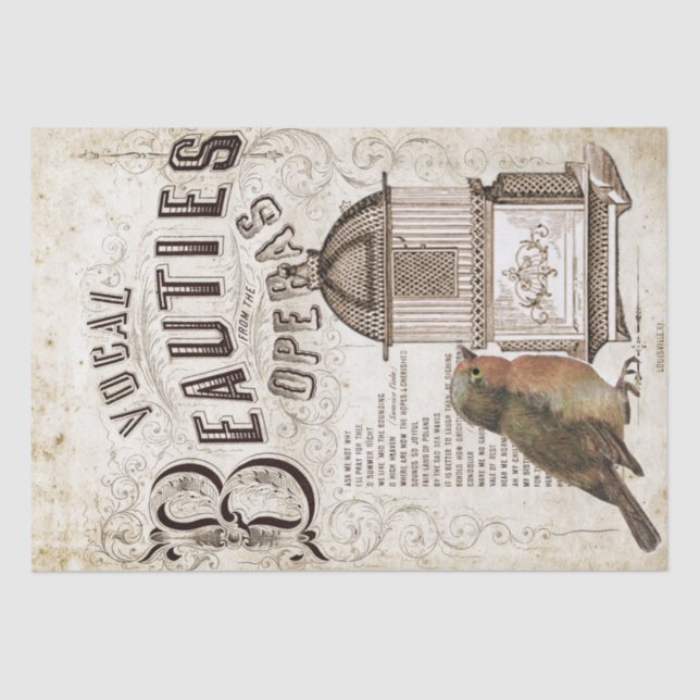 Papel De Seda Canción de ópera Música Robin Bird Birdcage Decoup (Anverso)