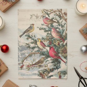Papel De Seda Canciones Navideñas Vintage Pájaros de Invierno