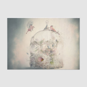 Papel De Seda Cañera de pájaro primavera