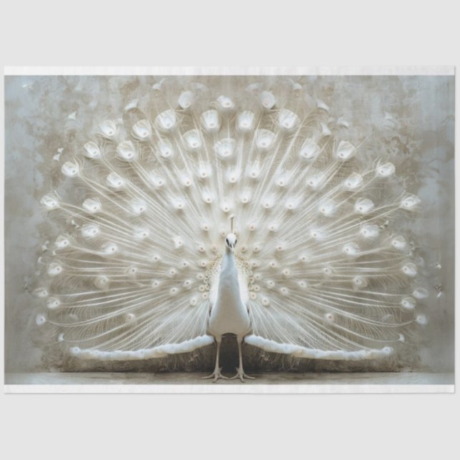 Papel De Seda Caperos De Pavo Blanco Desplegado (Anverso)