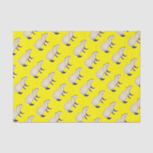 Papel De Seda Capibara