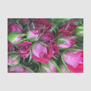 Papel De Seda Capullos de rosa del bebé