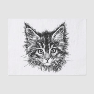 Papel De Seda Cara de gatito negro y blanco