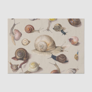 Papel De Seda Caracol Babosa Jardín Mascota Gasterópodo Botánico