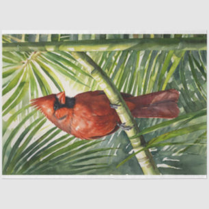 Papel De Seda Cardenal acuarela en un desenlace de árbol de palm