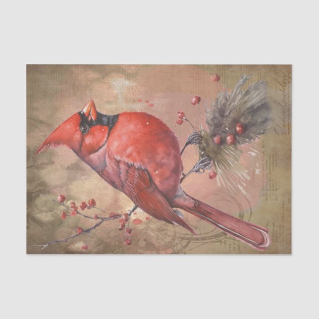 Papel De Seda Cardenal de invierno (Anverso)