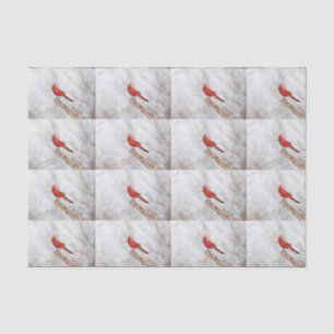 Papel De Seda Cardenal del Norte en una rama