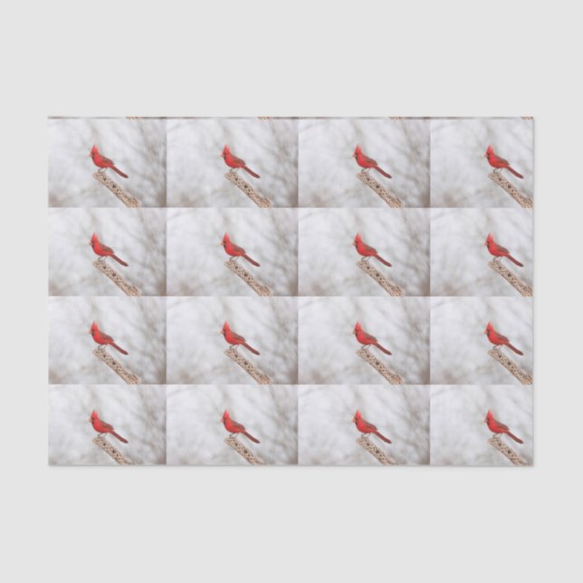 Papel De Seda Cardenal del Norte en una rama (Anverso)