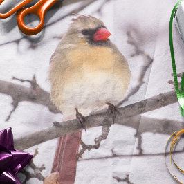 Papel De Seda Cardenal hembra en invierno