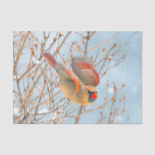 Papel De Seda Cardenal norte volando - Fotografía original