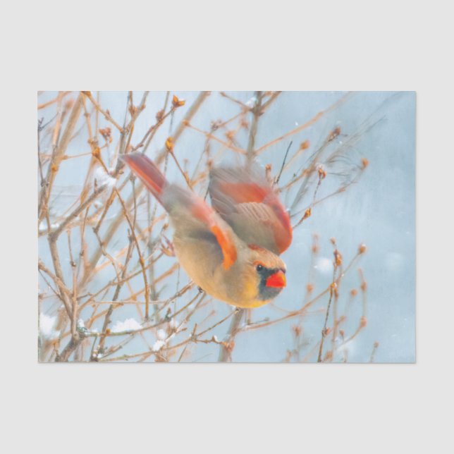 Papel De Seda Cardenal norte volando - Fotografía original (Anverso)