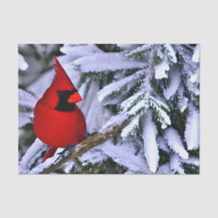 Papel De Seda Cardenal rojo invernal