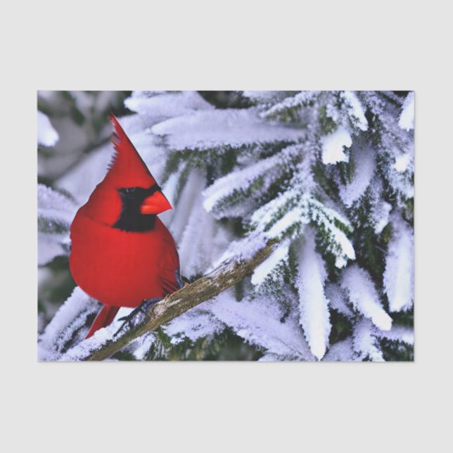 Papel De Seda Cardenal rojo invernal (Anverso)