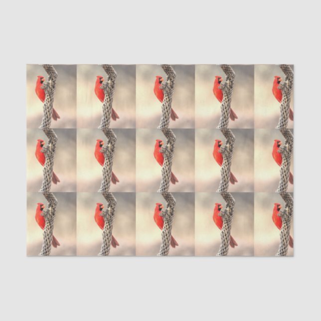 Papel De Seda Cardenal sobre el Cholla (Anverso)