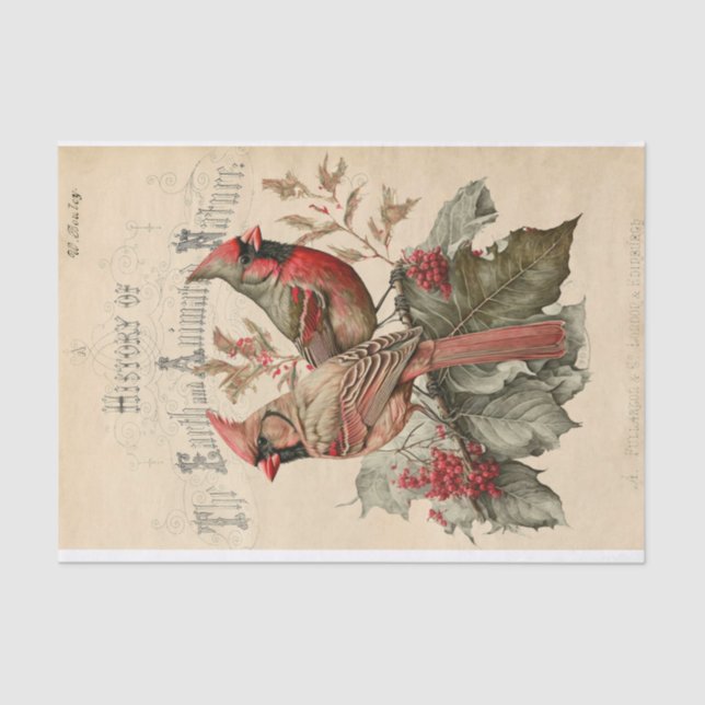 Papel De Seda Cardenales (Anverso)