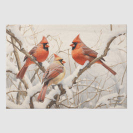 Papel De Seda Cardenales de invierno