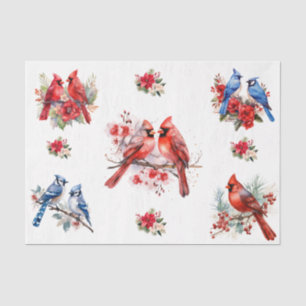 Papel De Seda Cardenales de Navidad Pájaros Azules Elementos Dec
