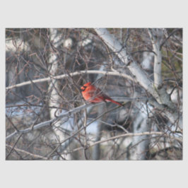 Papel De Seda Cardinal 2926 Tejido