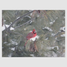 Papel De Seda Cardinal 3093 Tejido