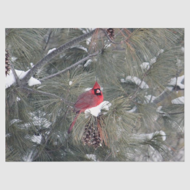 Papel De Seda Cardinal 3093 Tejido (Anverso)