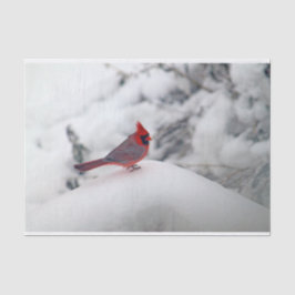 Papel De Seda Cardinal 6239 Tejido