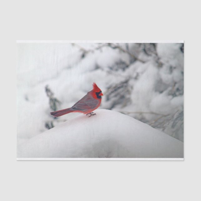 Papel De Seda Cardinal 6239 Tejido (Anverso)