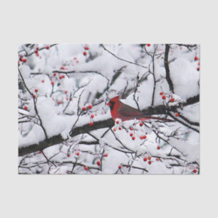Papel De Seda Cardinal 6254 Tejido