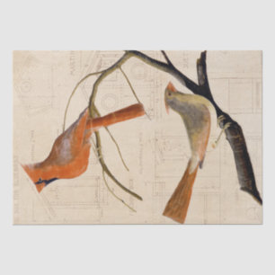 Papel De Seda Cardinal Bird Bireprint Blueprint Decoupage Red