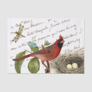 Papel De Seda Cardinal Bird Nest Dragonfly Música francesa
