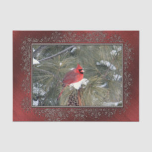 Papel De Seda Cardinal Snow Pine Photo