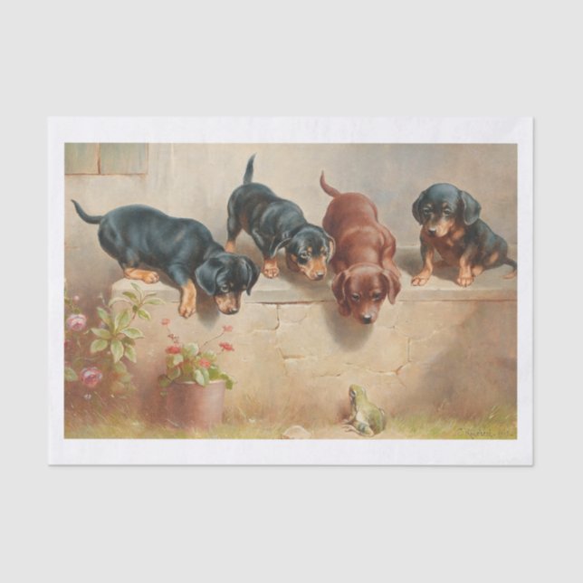Papel De Seda Carl Richert | Cachorros Dachshund Y Rana (Anverso)