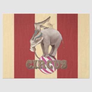 Papel De Seda Carnaval de Circo 
